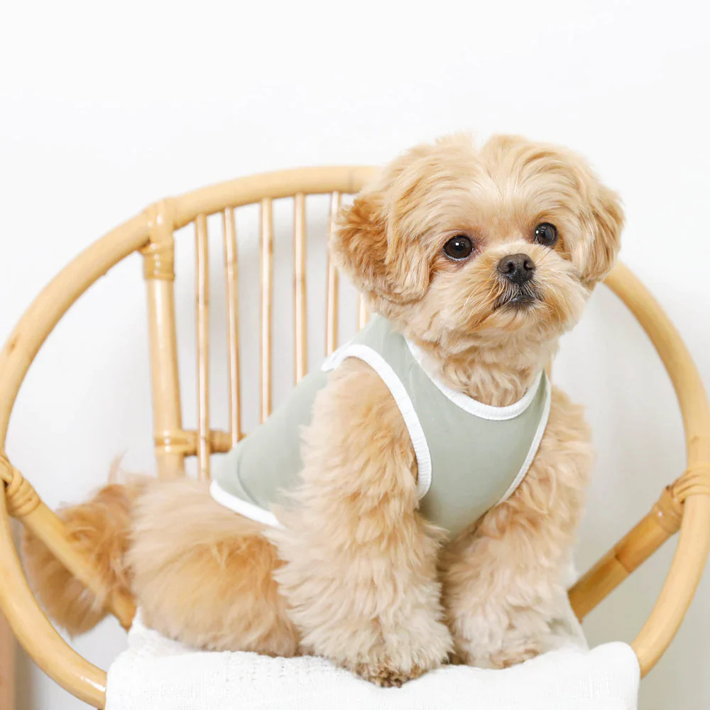 Sleeveless Cool T-Shirt Dog Tank (FINAL SALE) - Image 3