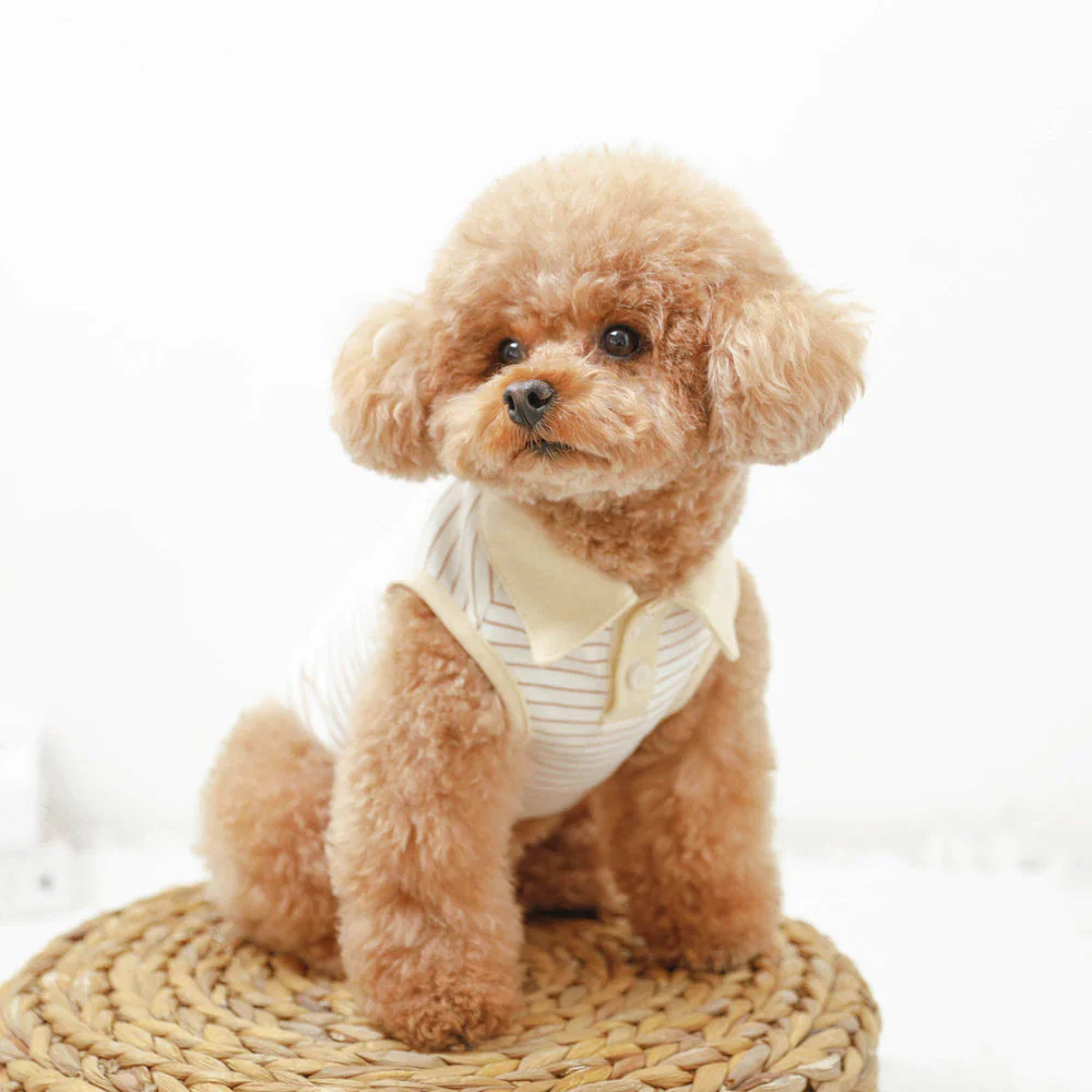 Striped Sleeveless Collared Shirt for Dogs - Image 10