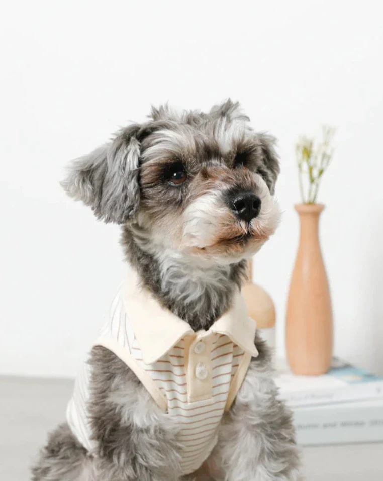 Striped Sleeveless Collared Shirt for Dogs - Image 3