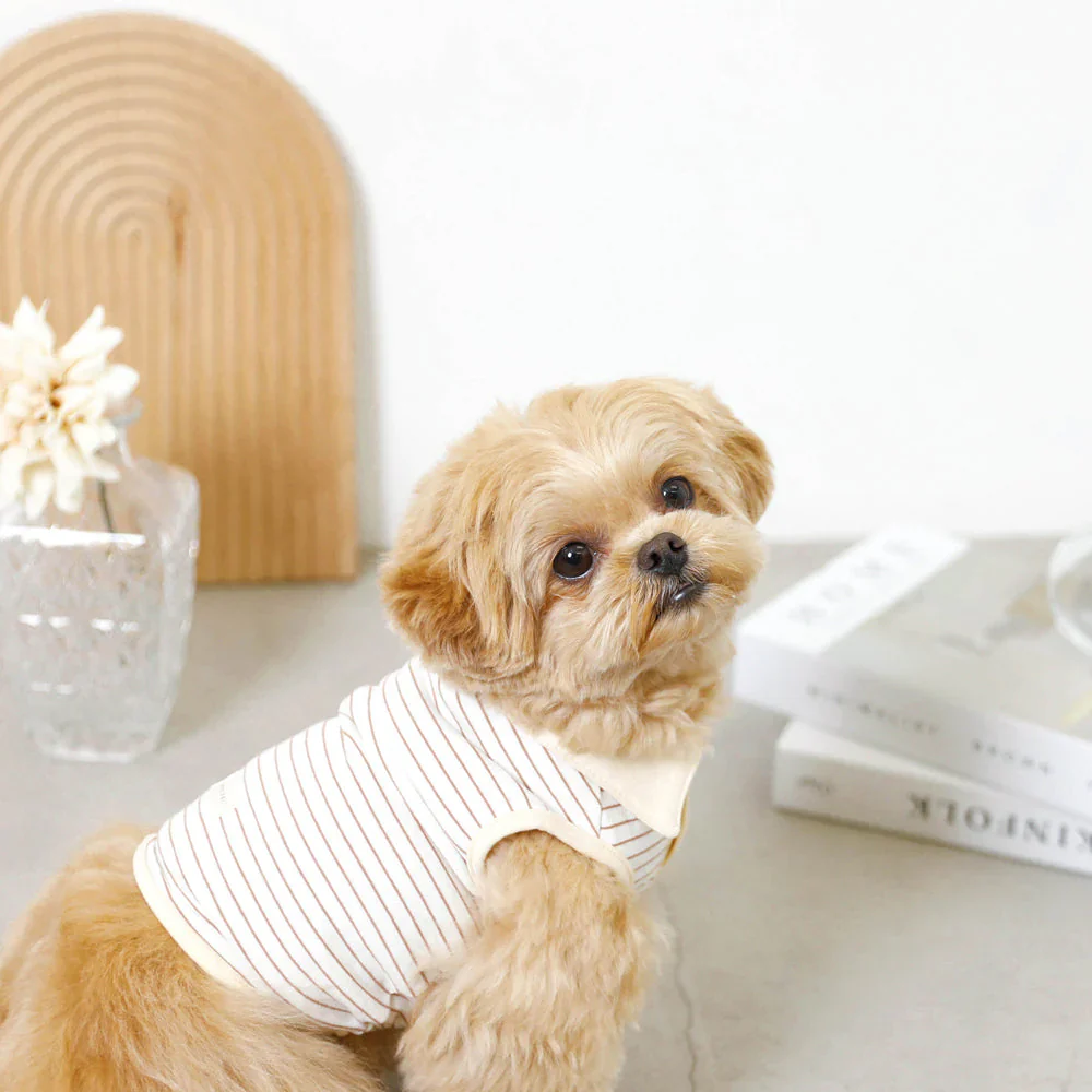 Striped Sleeveless Collared Shirt for Dogs - Image 9