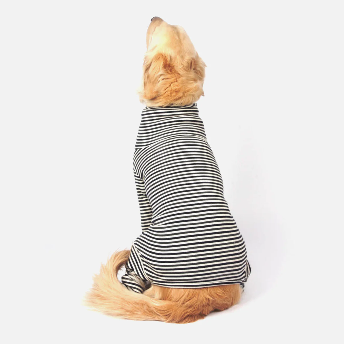 MONCHOUCHOU | Easy Fit All-in-One in Navy & Grey (4XL - 6XL) - Image 2