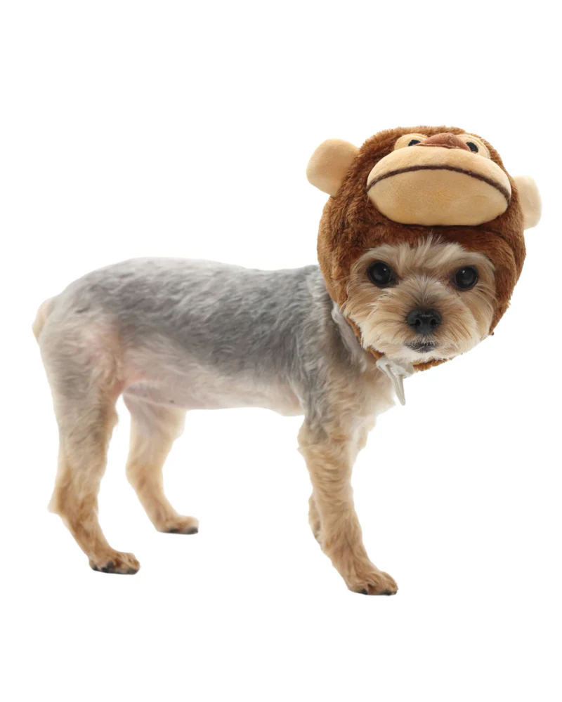 Monkey Dog Hat - Image 3