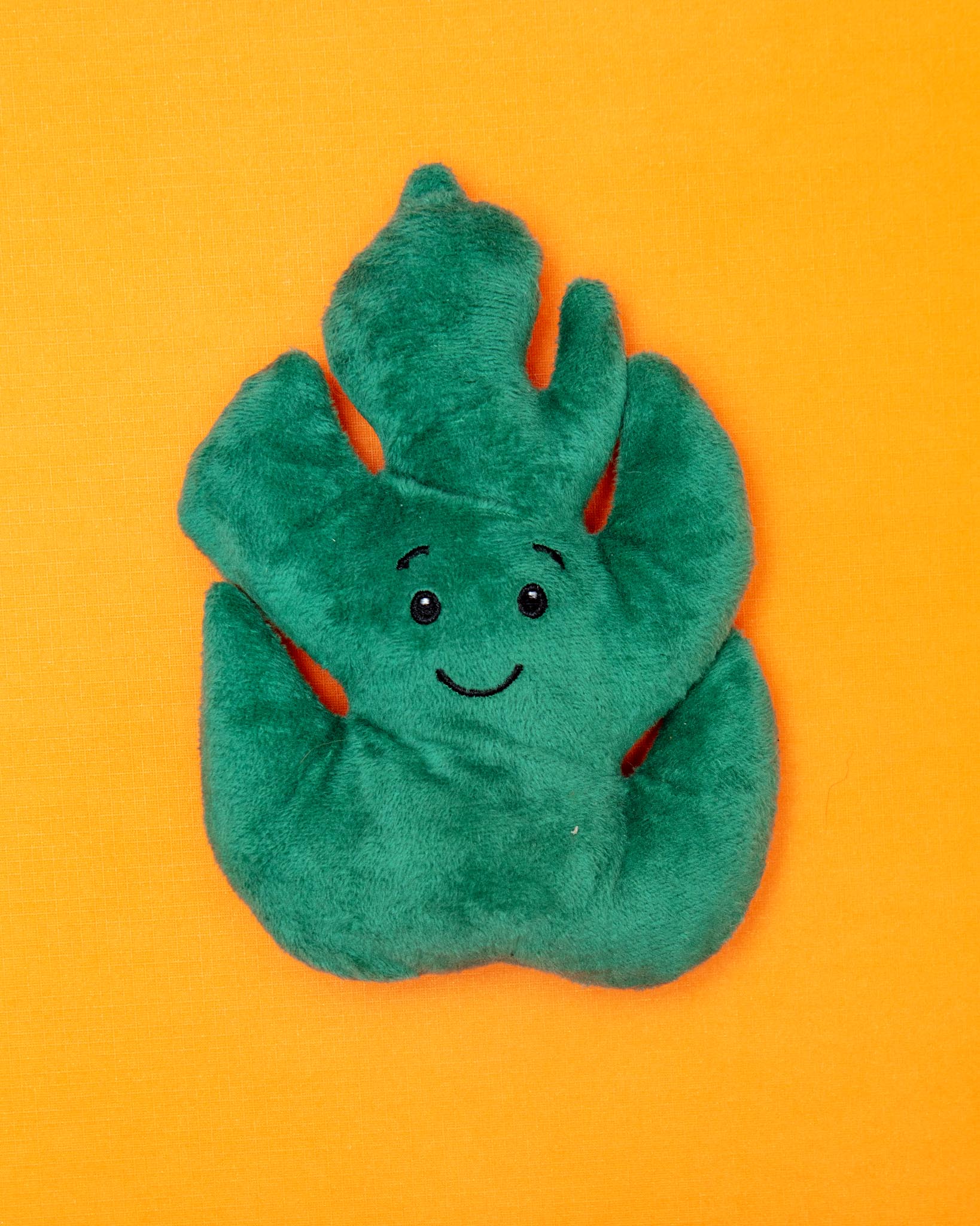 Monstera Recycled Squeaky + Crinkle Dog Toy