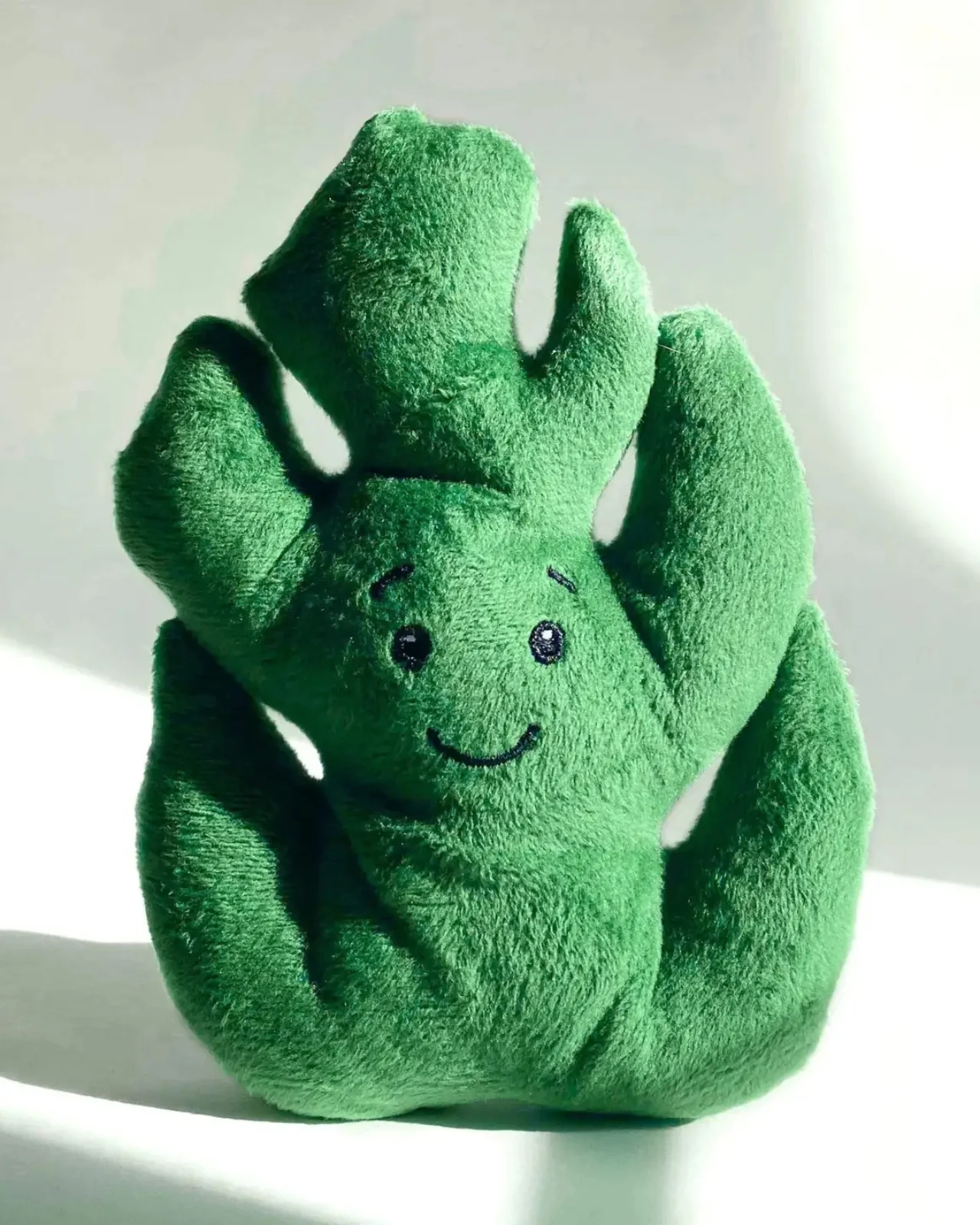 Monstera Recycled Squeaky + Crinkle Dog Toy - Image 3
