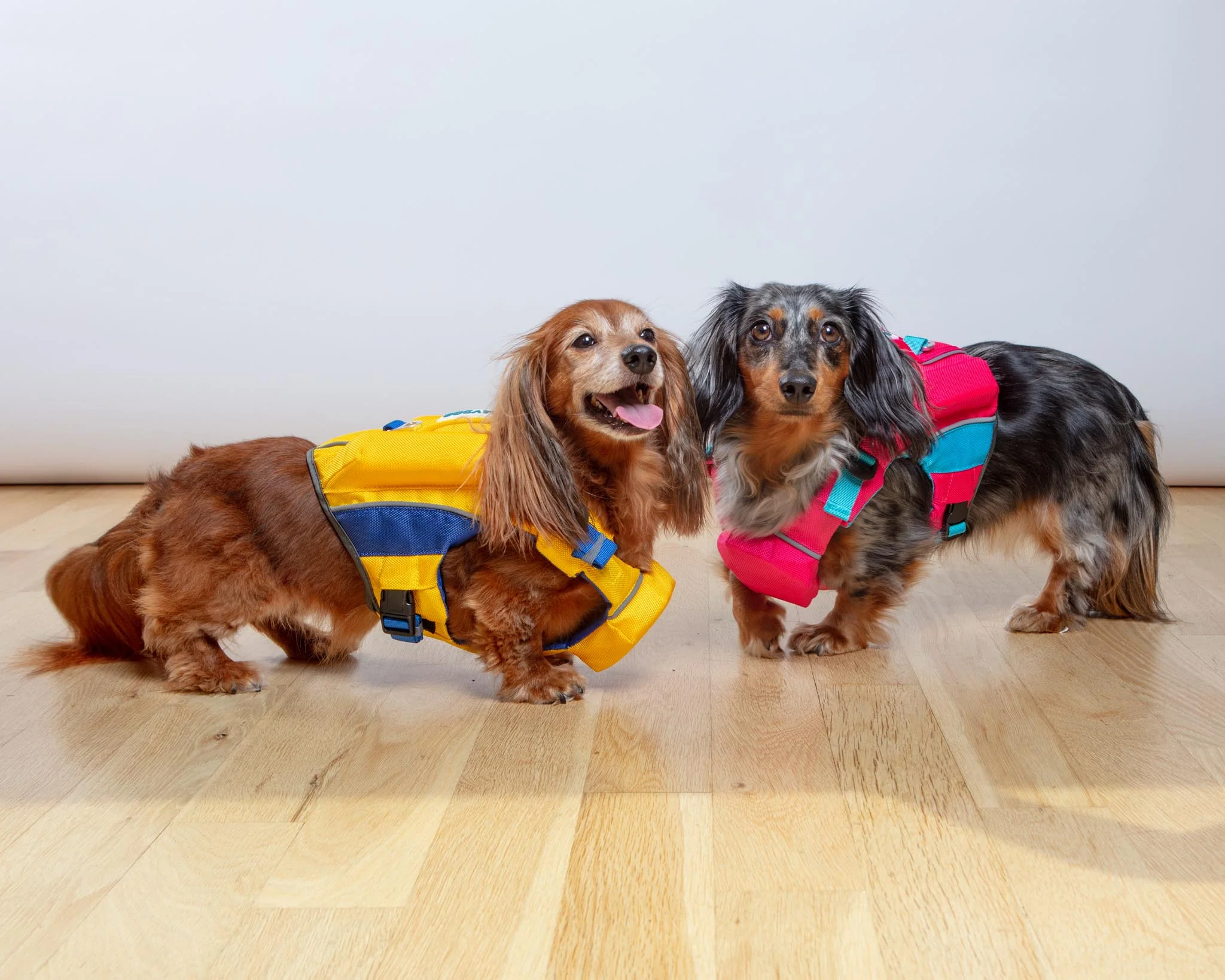 Monterey Bay Offshore Dog Life Jacket in Sunset Pink - Image 4