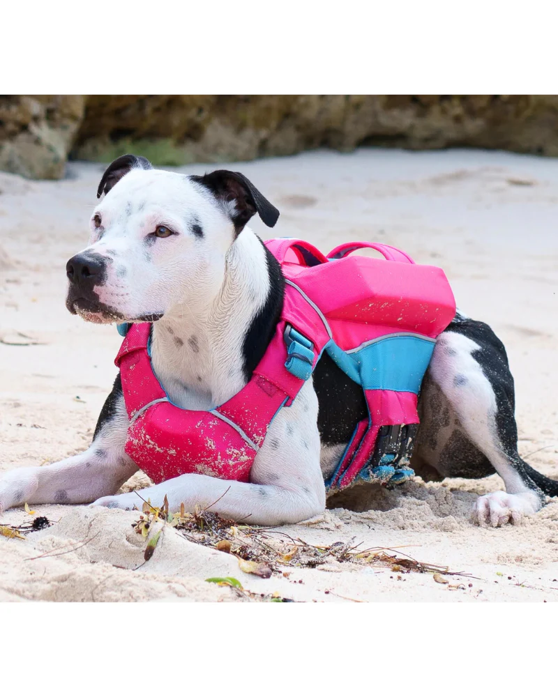 Monterey Bay Offshore Dog Life Jacket in Sunset Pink - Image 5