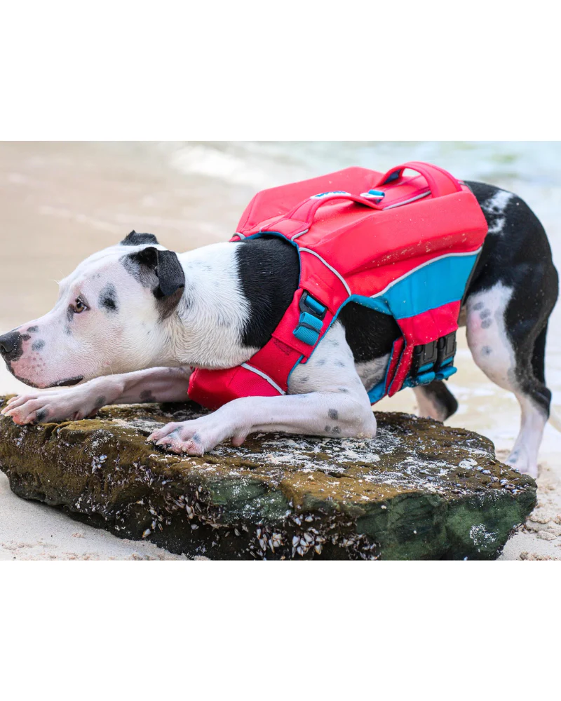 Monterey Bay Offshore Dog Life Jacket in Sunset Pink - Image 7