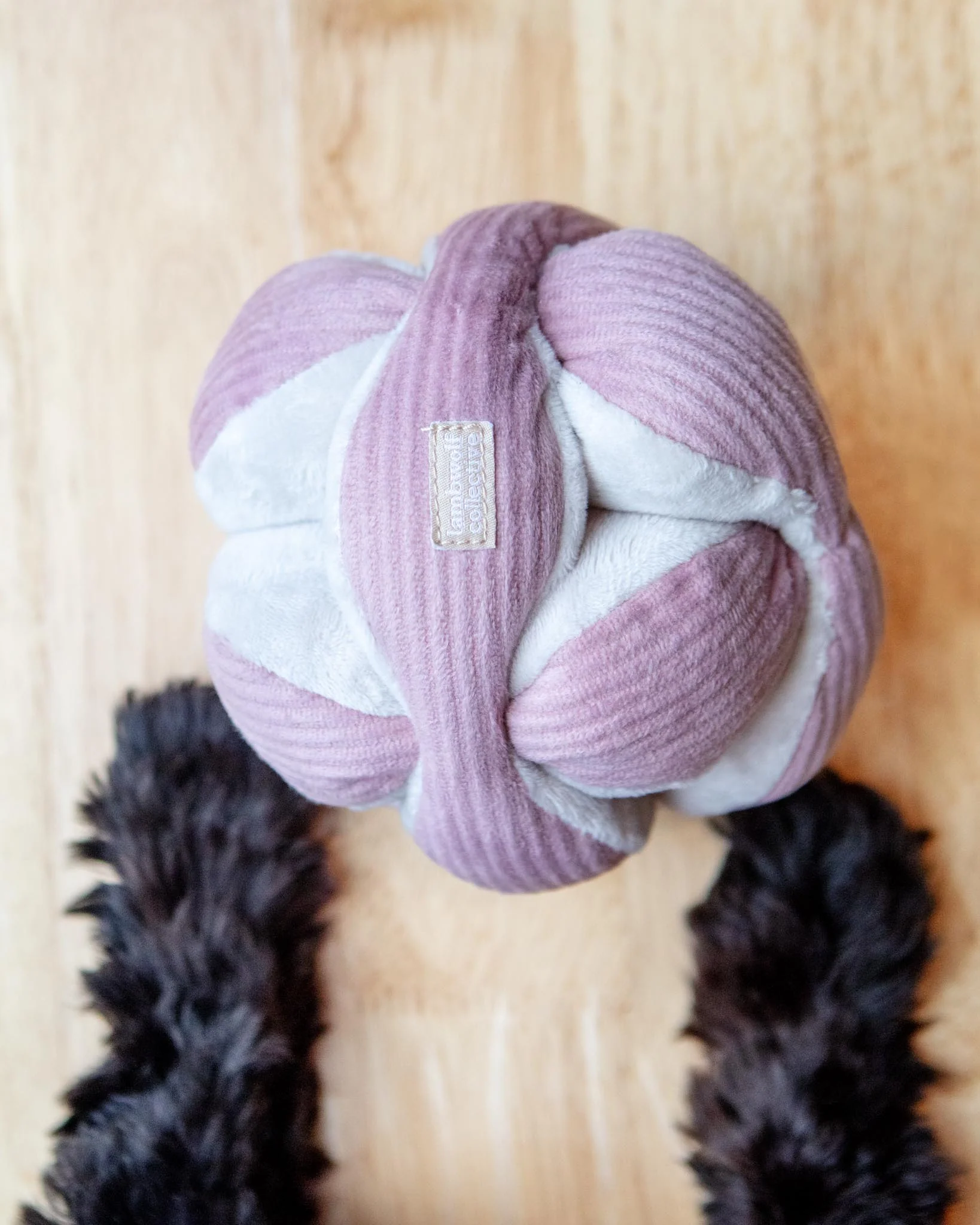 Monti Snuffle Ball Dog Toy - Image 3