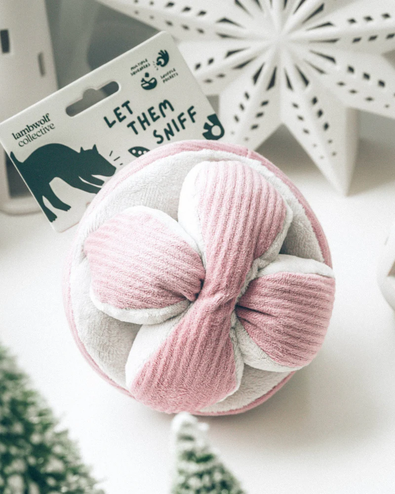 Monti Snuffle Ball Dog Toy - Image 4