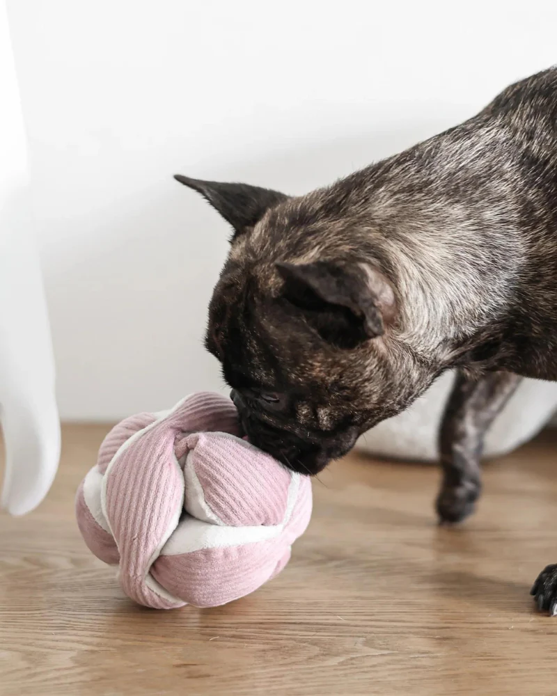Monti Snuffle Ball Dog Toy - Image 5