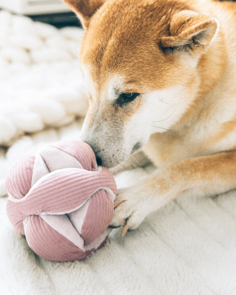 Monti Snuffle Ball Dog Toy - Image 6
