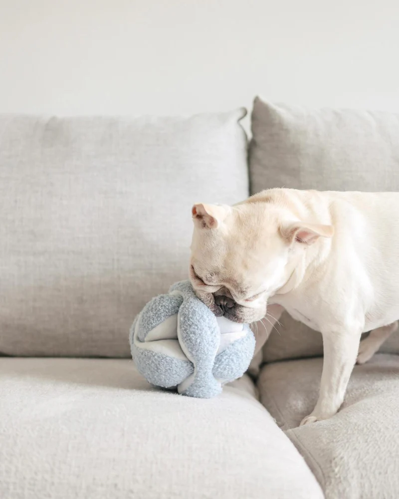 Monti Snuffle Ball Dog Toy - Image 7