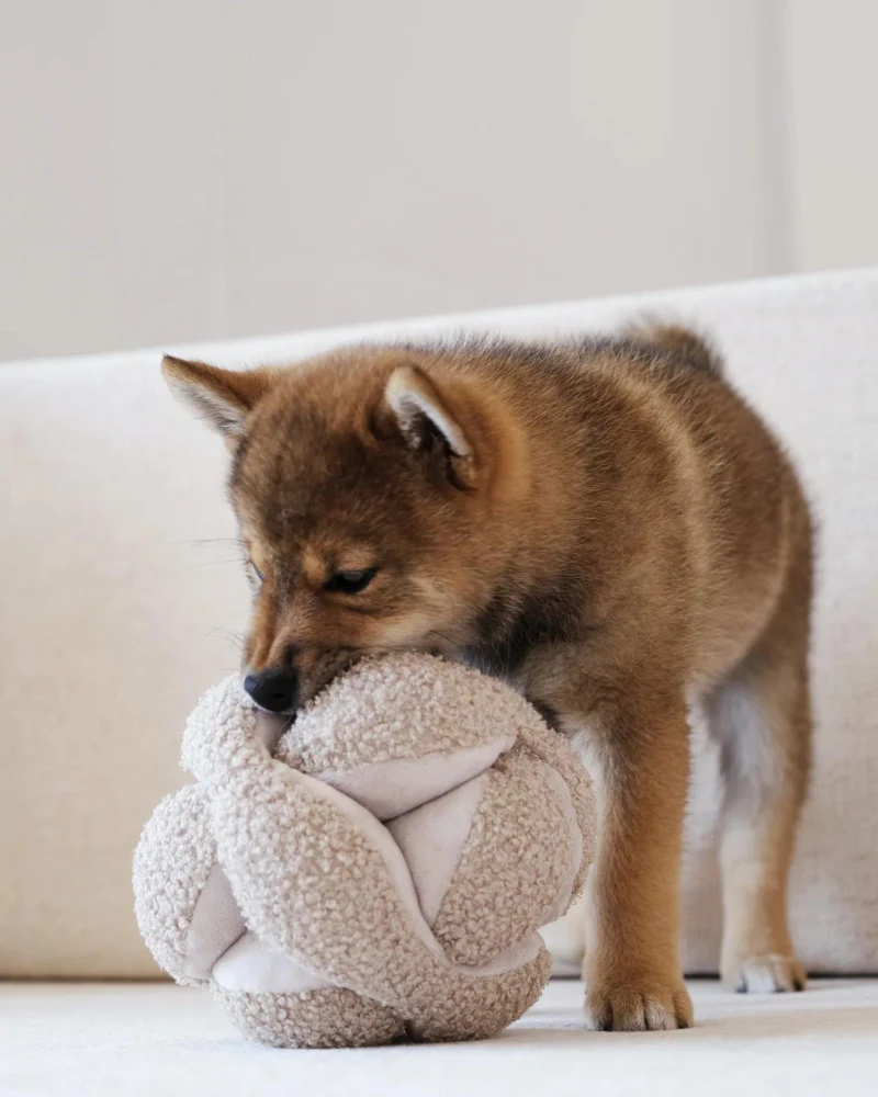 Monti Snuffle Ball Dog Toy - Image 8