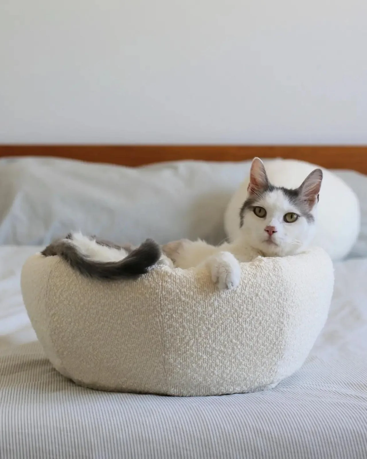 Bouclé Modular Moon Cat Cave Bed - Image 4
