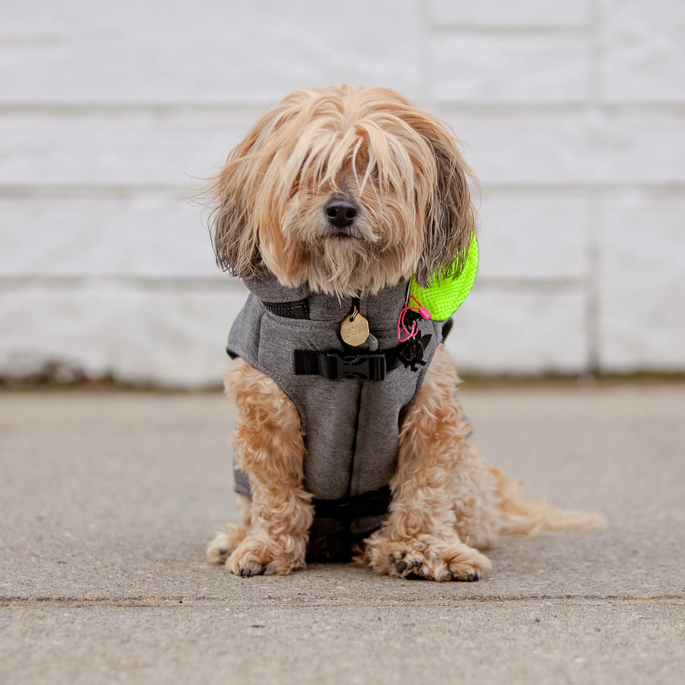 MORIKUKKO | Hoodie Backpack Vest in Grey and Neon - Image 2