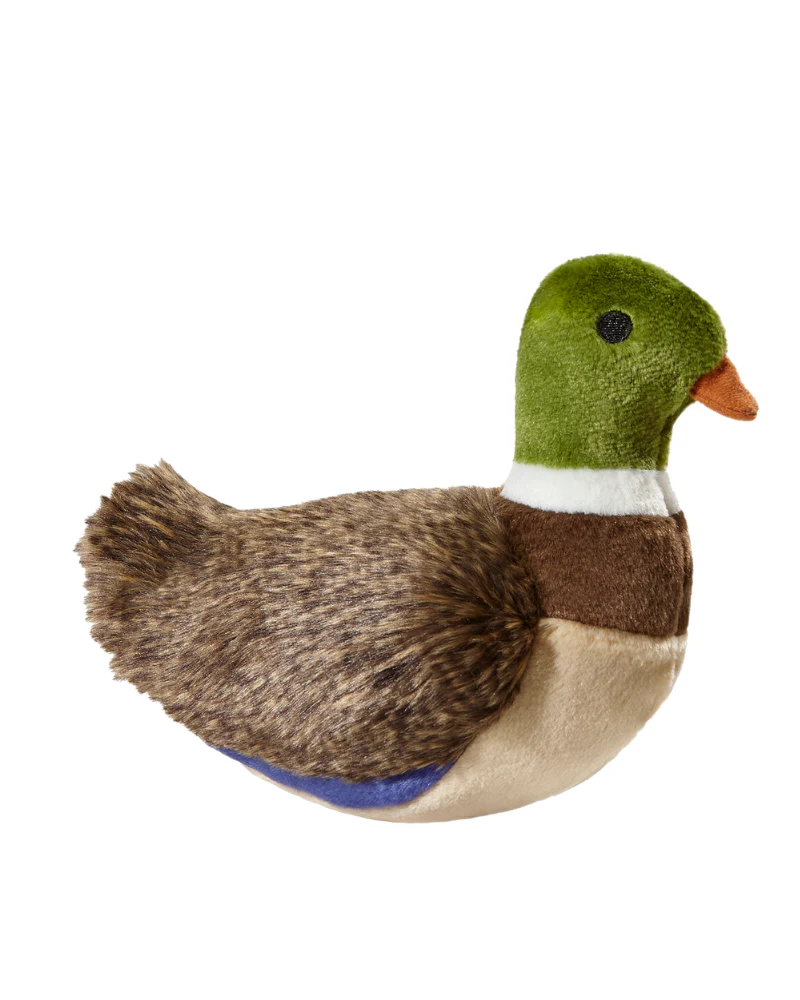 Morley Mallard Squeaky Dog Plush Toy - Image 3