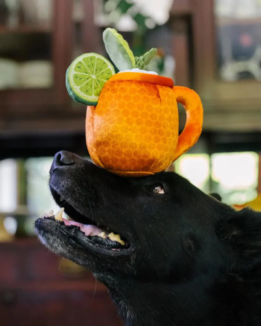 Mospaw Mule Squeaky Plush Dog Toy - Image 2