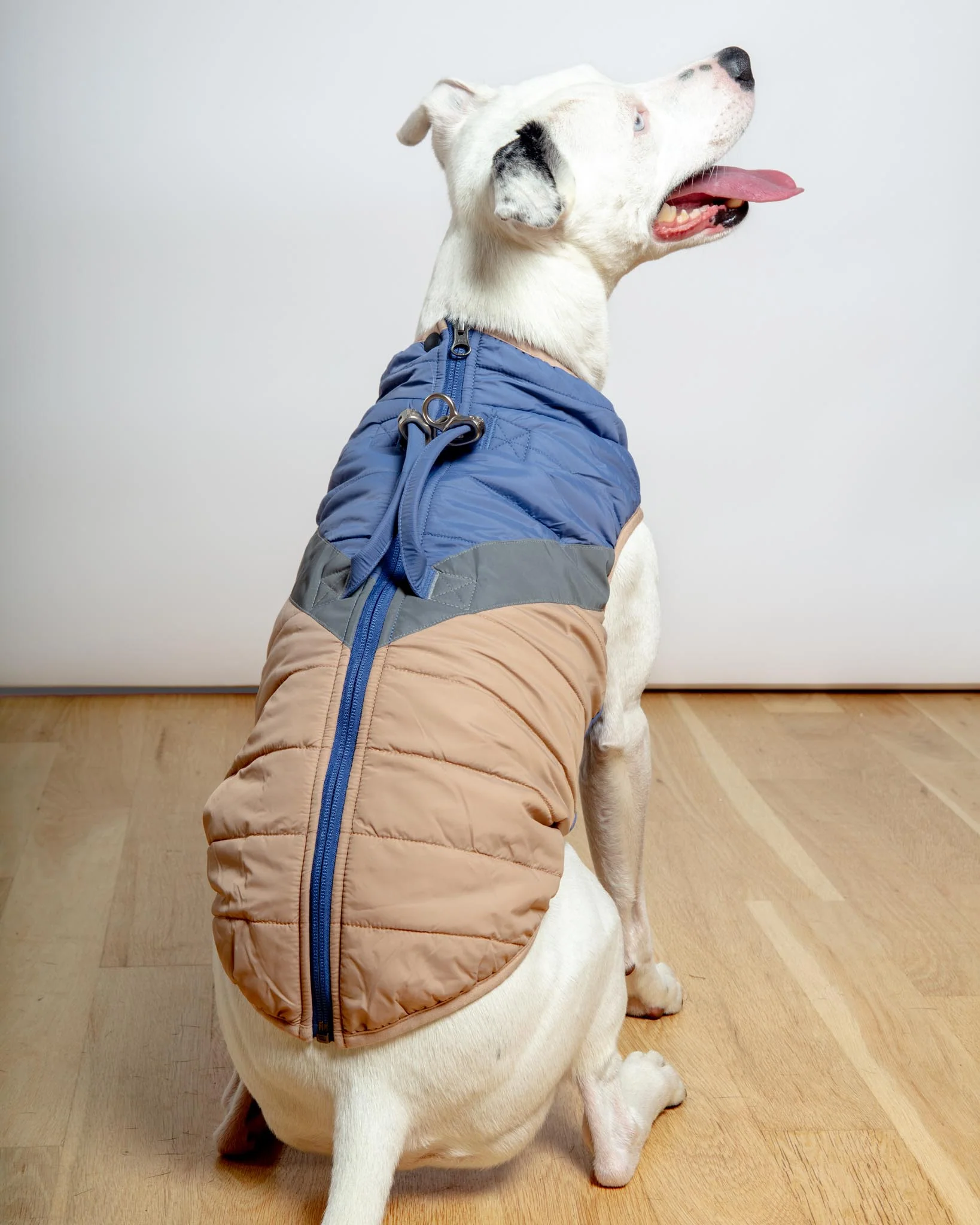 Mountaineer Waterproof Dog Harness Jacket in Tan & Moonstone Blue (FINAL SALE) - Image 12