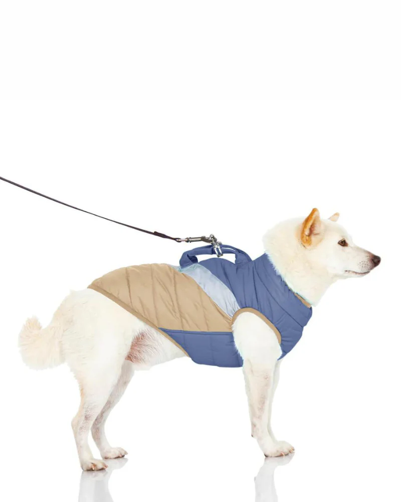 Mountaineer Waterproof Dog Harness Jacket in Tan & Moonstone Blue (FINAL SALE) - Image 13