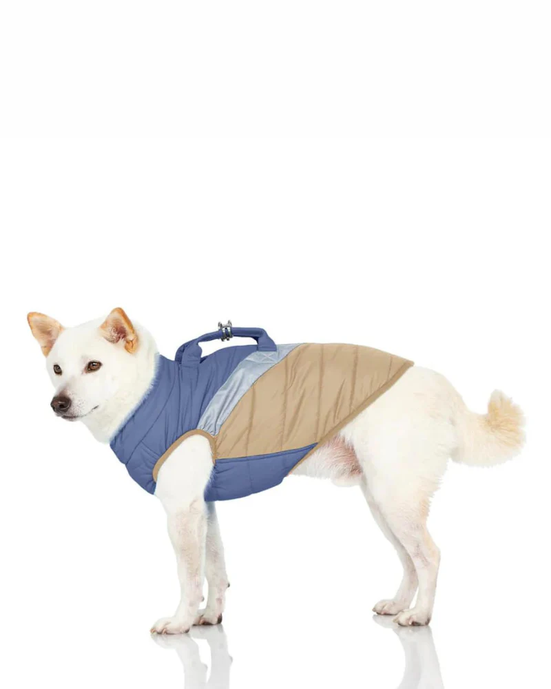 Mountaineer Waterproof Dog Harness Jacket in Tan & Moonstone Blue (FINAL SALE) - Image 19