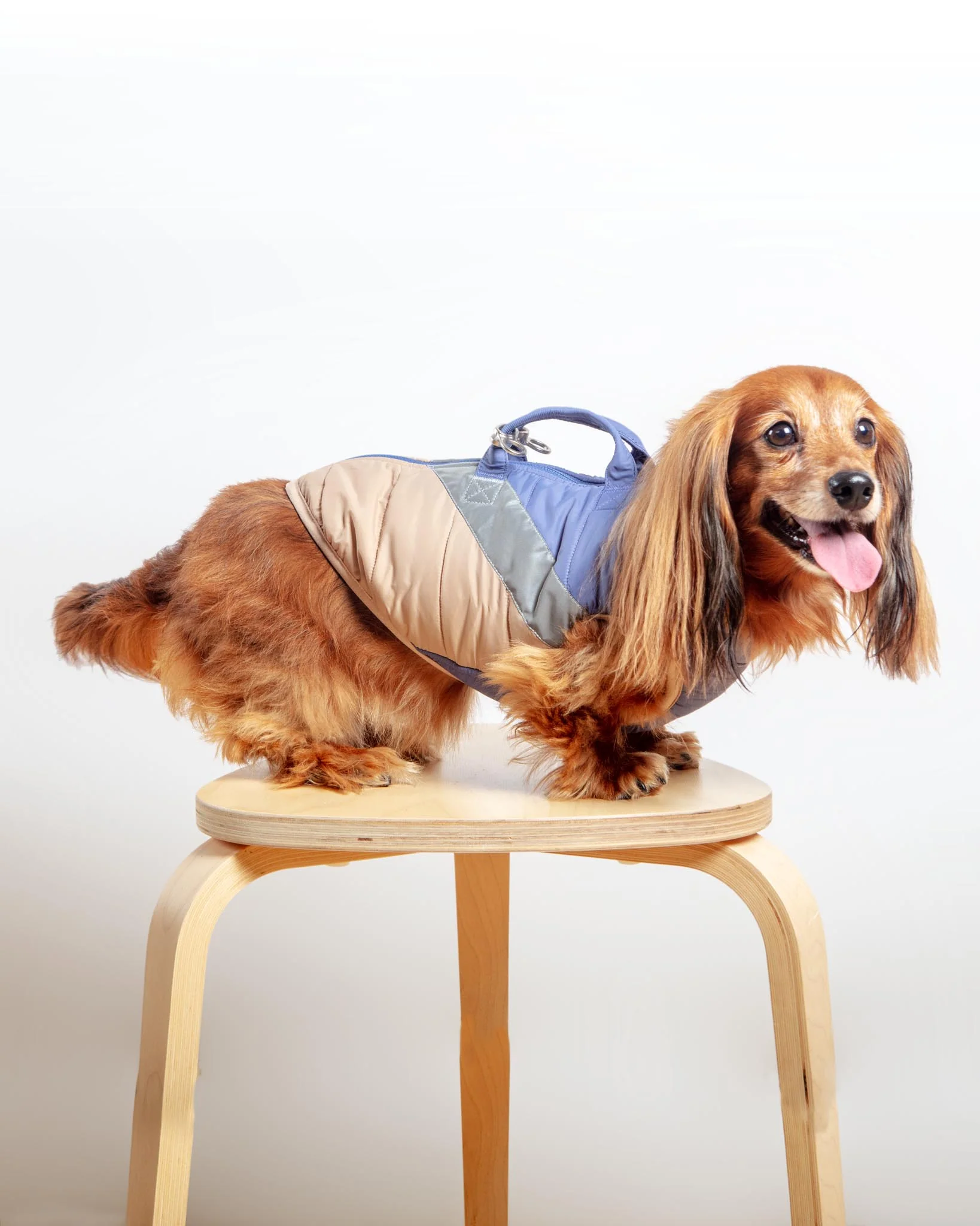 Mountaineer Waterproof Dog Harness Jacket in Tan & Moonstone Blue (FINAL SALE) - Image 2