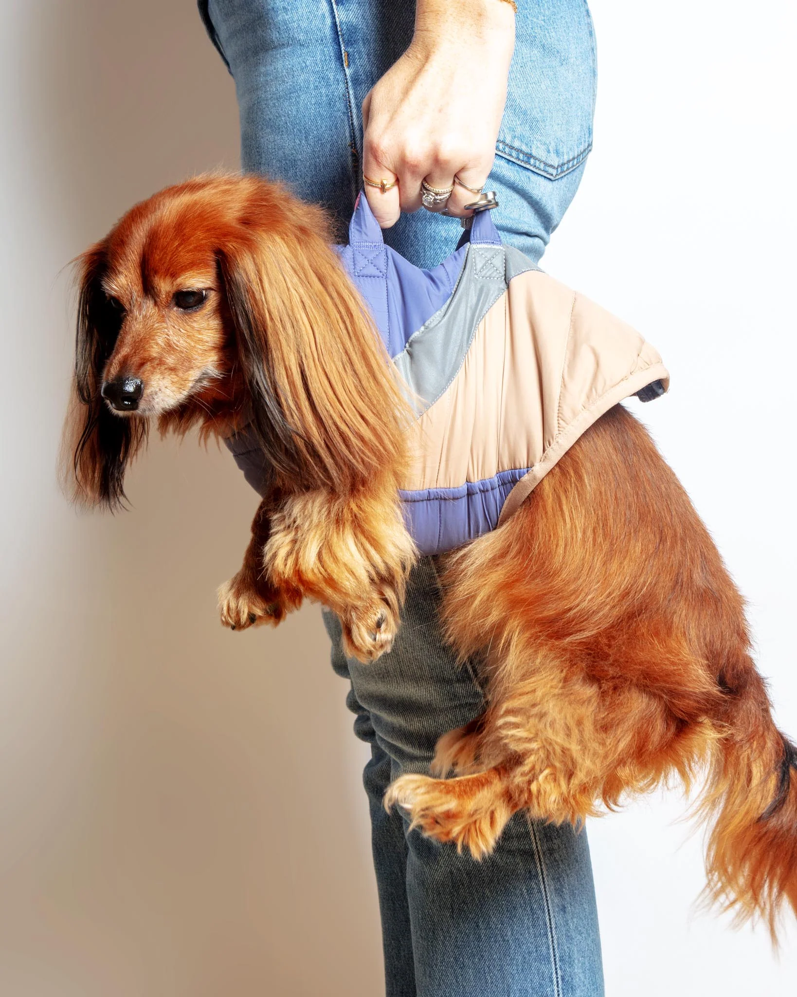 Mountaineer Waterproof Dog Harness Jacket in Tan & Moonstone Blue (FINAL SALE) - Image 5