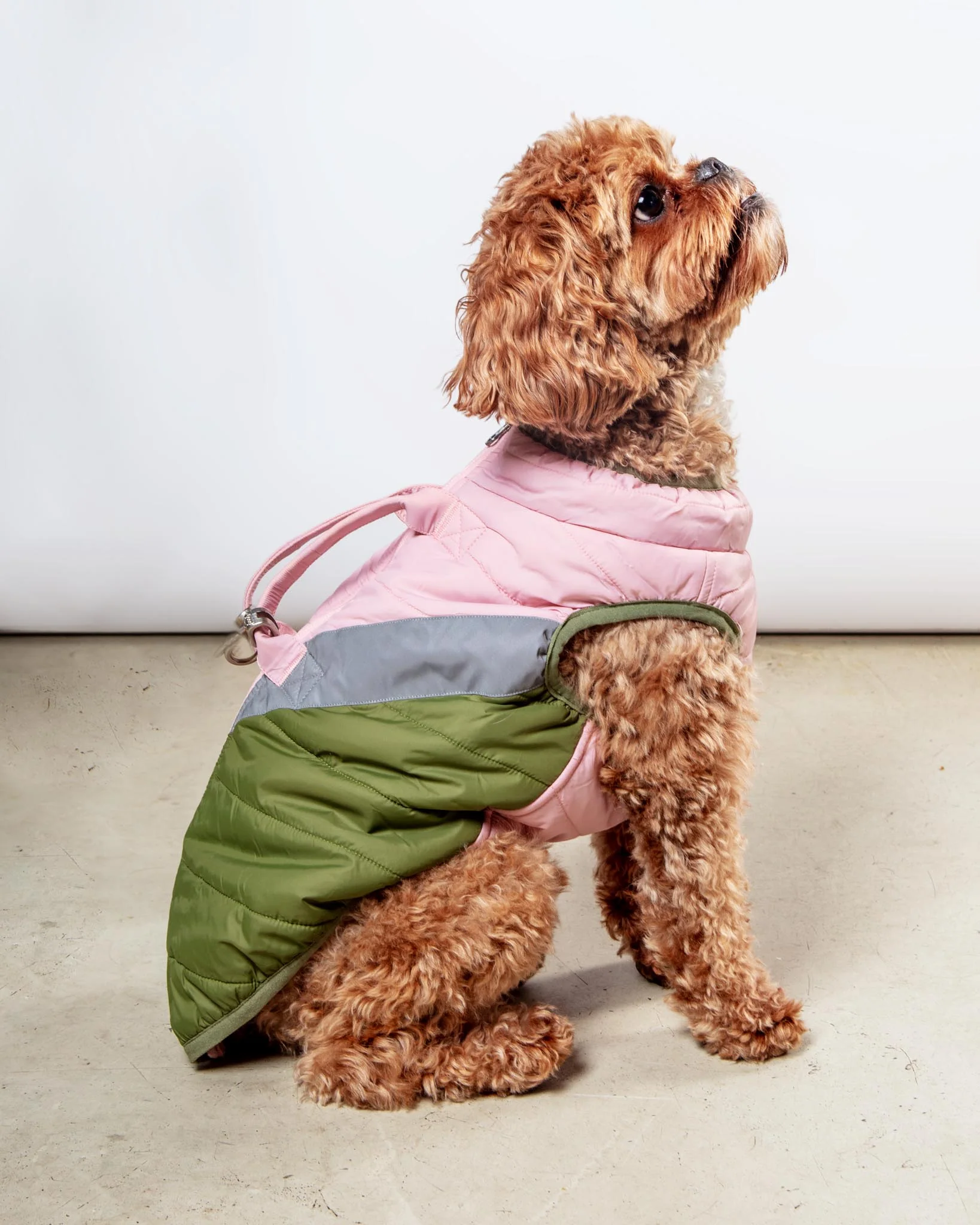 Mountaineer Waterproof Dog Harness Jacket in Peach - Image 2