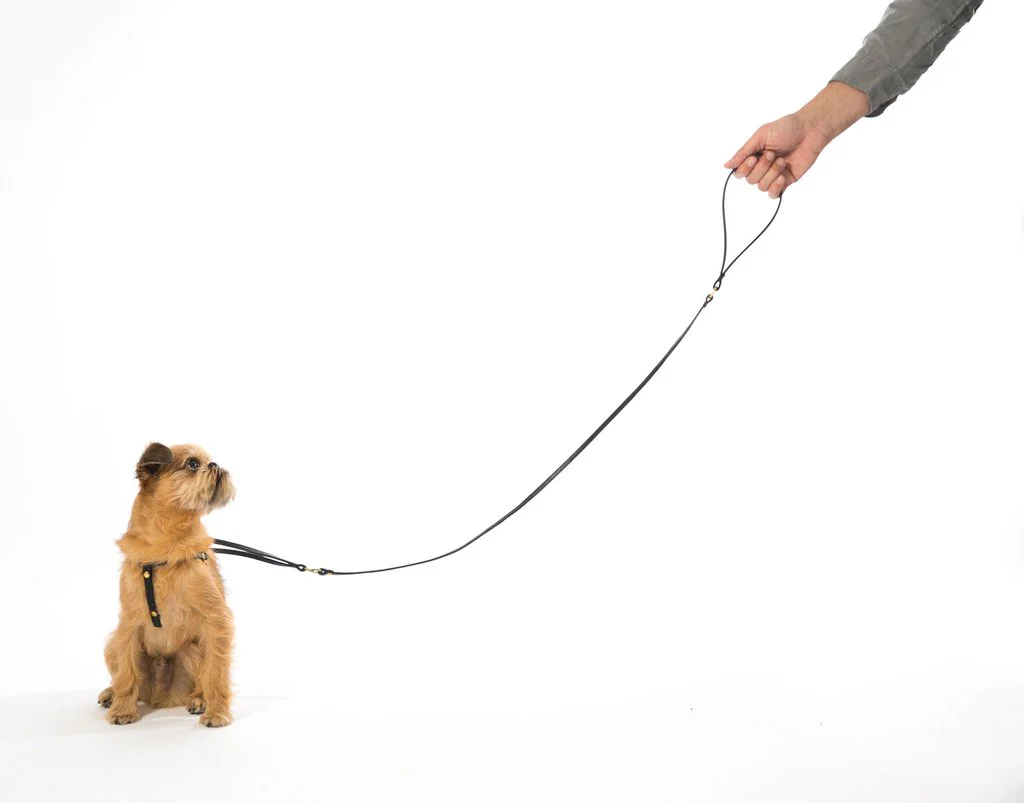 MR. DOG | Black Leather Step-In Harness & Leash - Image 2