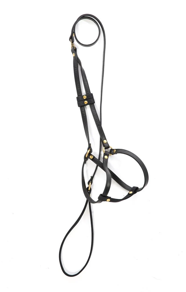 MR. DOG | Black Leather Step-In Harness & Leash - Image 3
