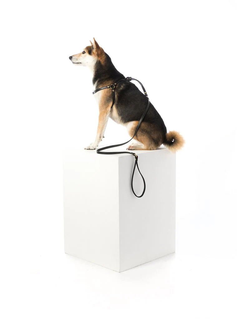 MR. DOG | Black Leather Step-In Harness & Leash - Image 6