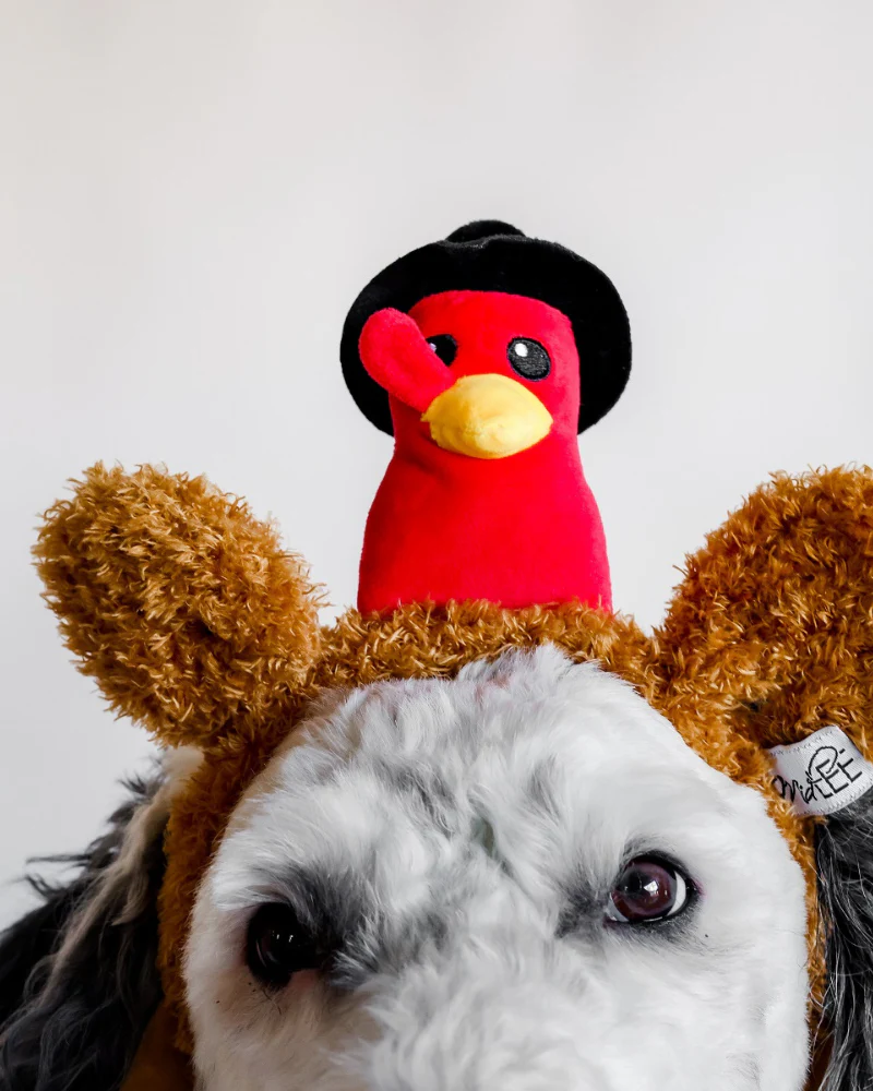 Mr Turkey Thankgiving Headband for Dogs - Image 3