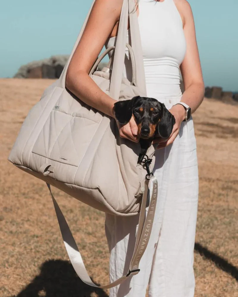 Multipurpose Carrier & Car Seat - Image 12