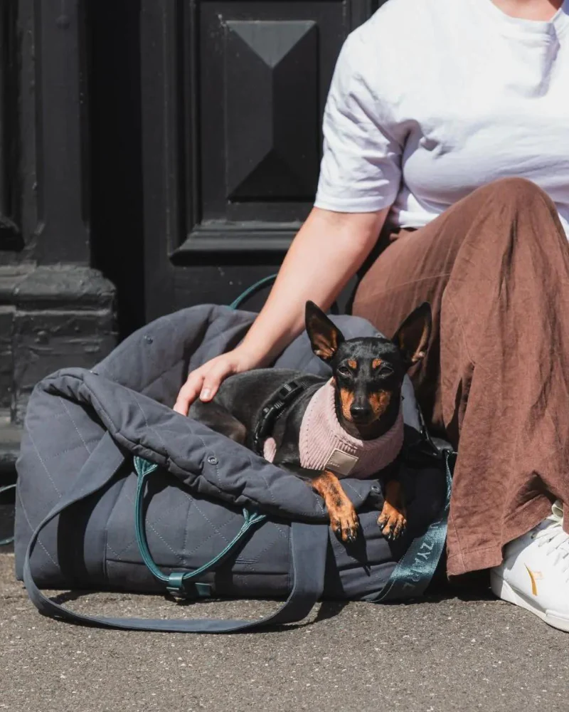 Multipurpose Carrier & Car Seat - Image 4