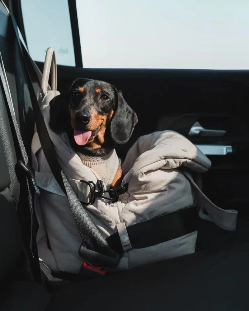 Multipurpose Carrier & Car Seat - Image 5