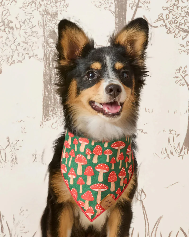 Mushroom Meadow Cotton Dog Bandana (Made in the USA) (FINAL SALE)