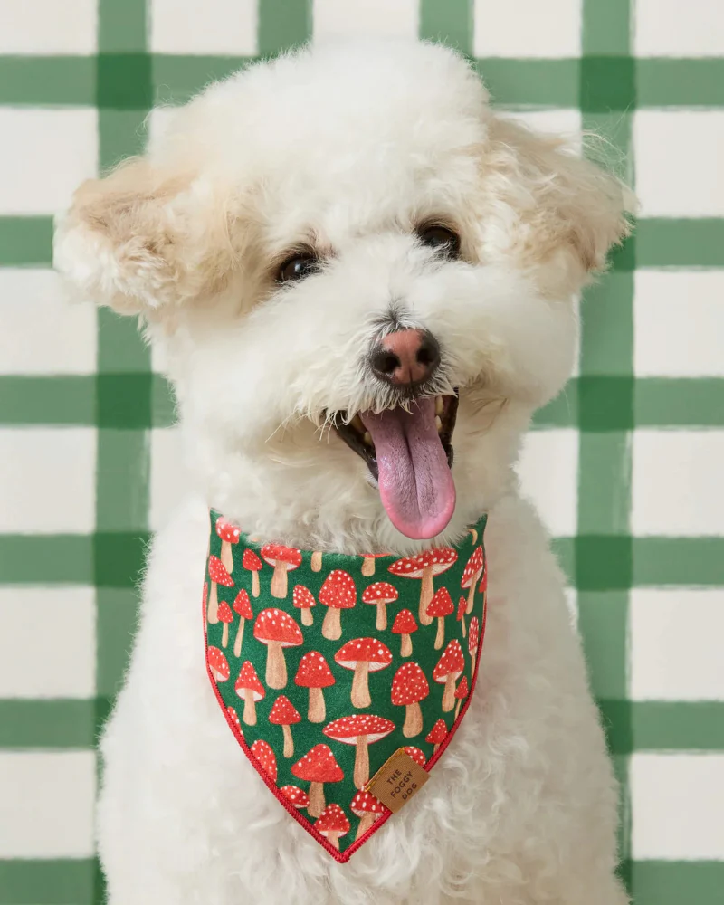 Mushroom Meadow Cotton Dog Bandana (Made in the USA) (FINAL SALE) - Image 3