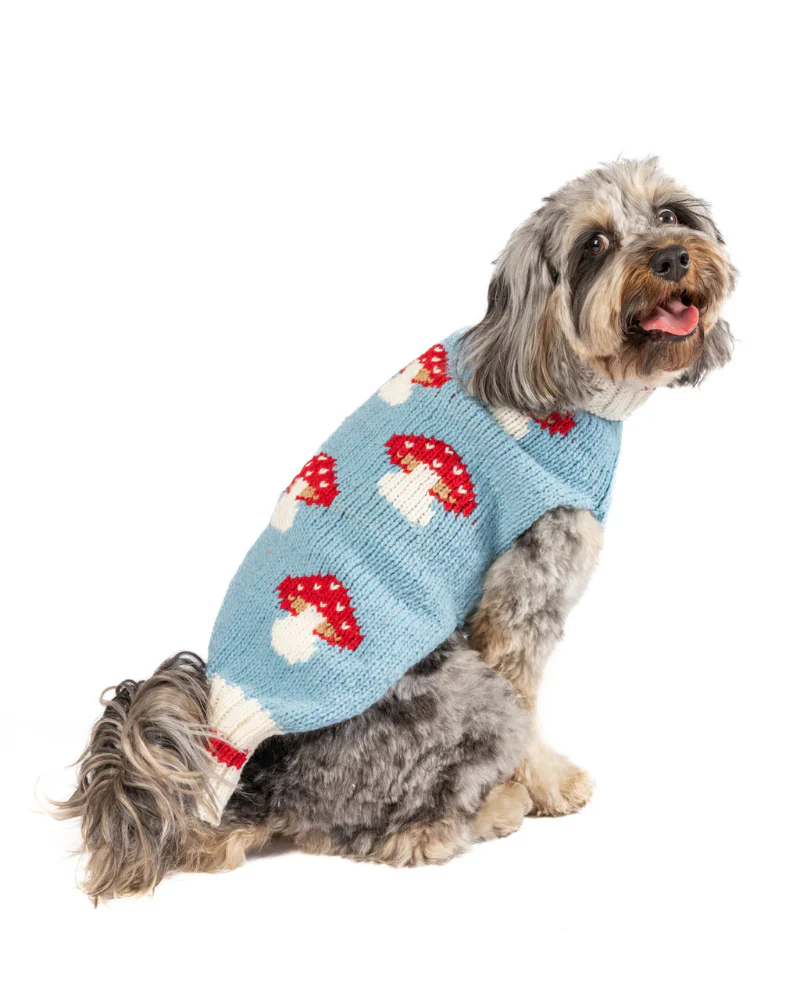 Mushroom Wool Dog Sweater (FINAL SALE) - Image 6