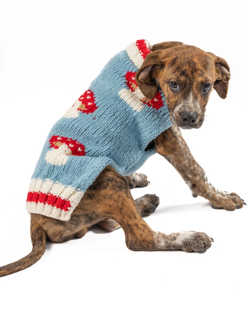 Mushroom Wool Dog Sweater (FINAL SALE) - Image 8