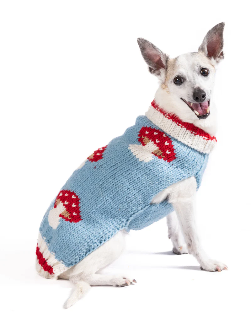 Mushroom Wool Dog Sweater (FINAL SALE) - Image 9