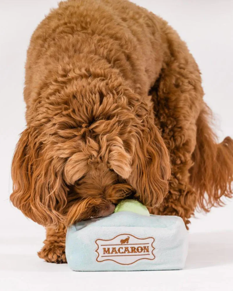 Mutt-A-Rons Squeaky Dog Toy (FINAL SALE) - Image 4