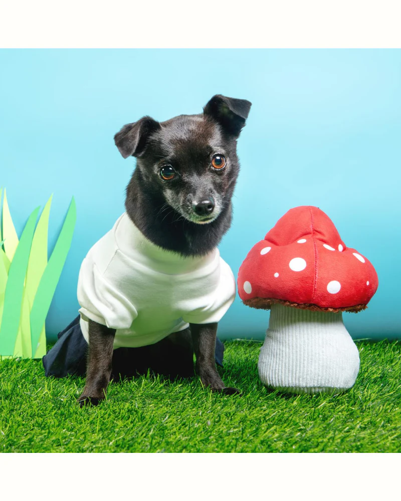 Mutt's Mushroom Squeaky Dog Toy - Image 2
