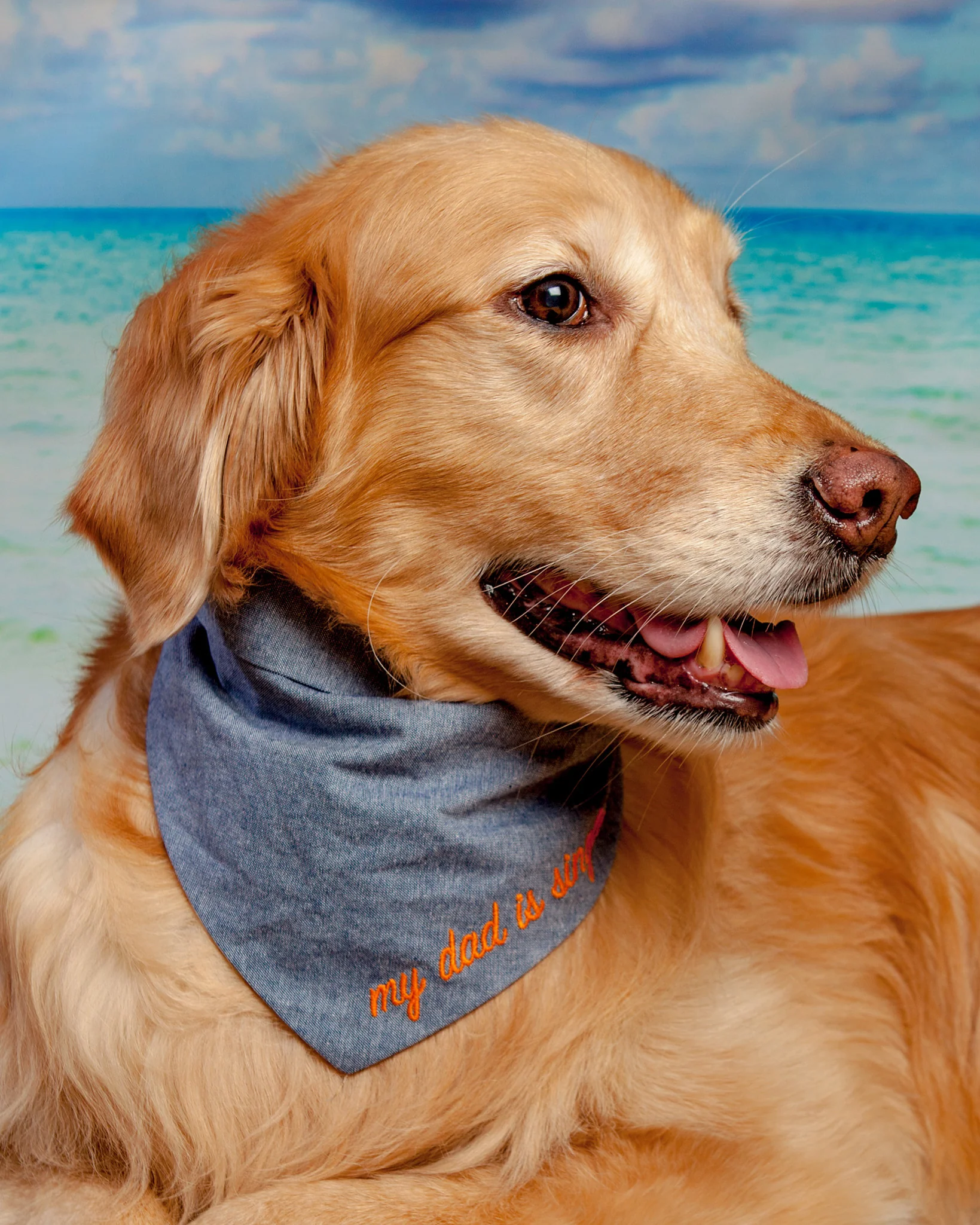 My Dad is Single Chambray Bandana (FINAL SALE) - Image 3