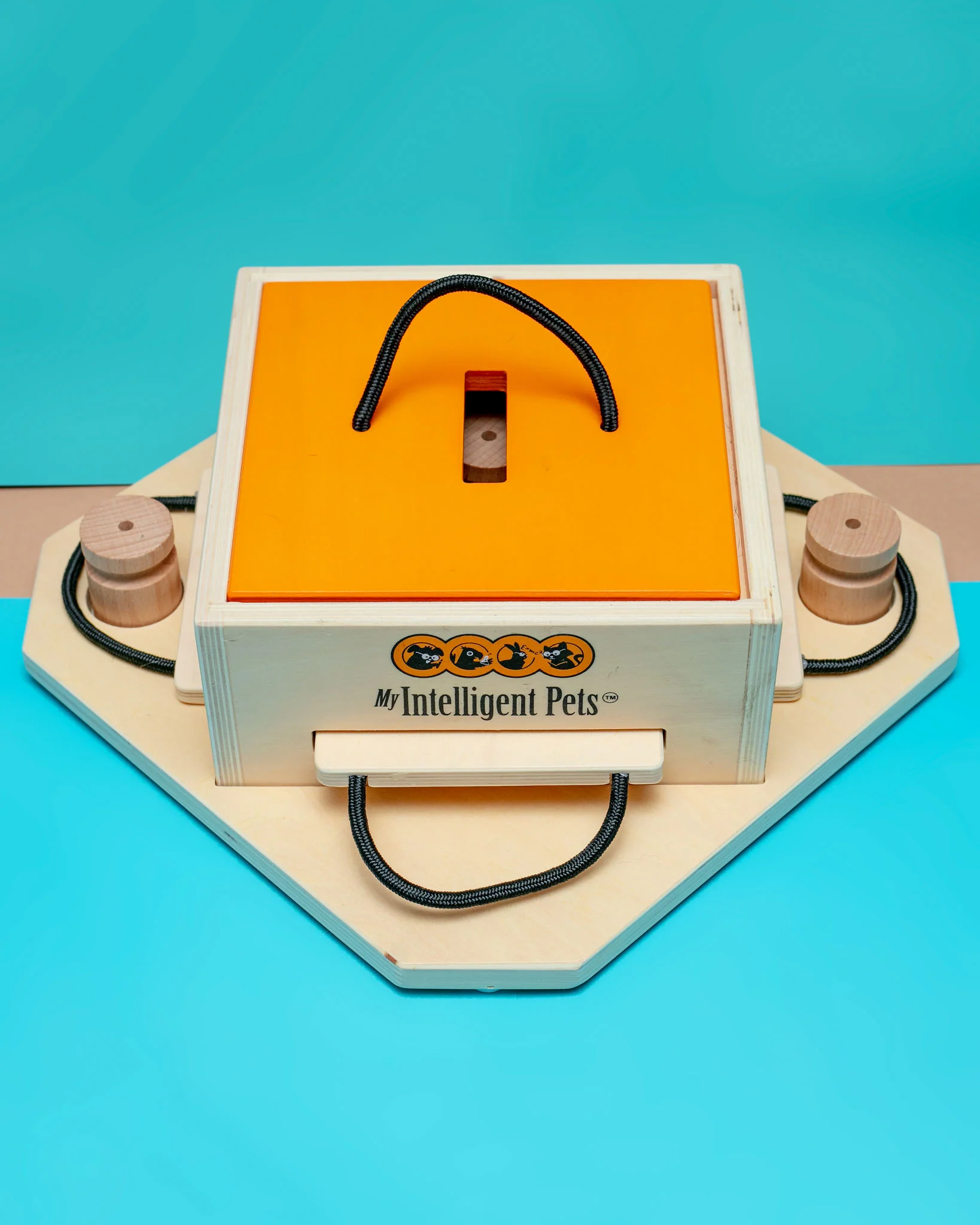 Dog Trouble Puzzle Treat Game