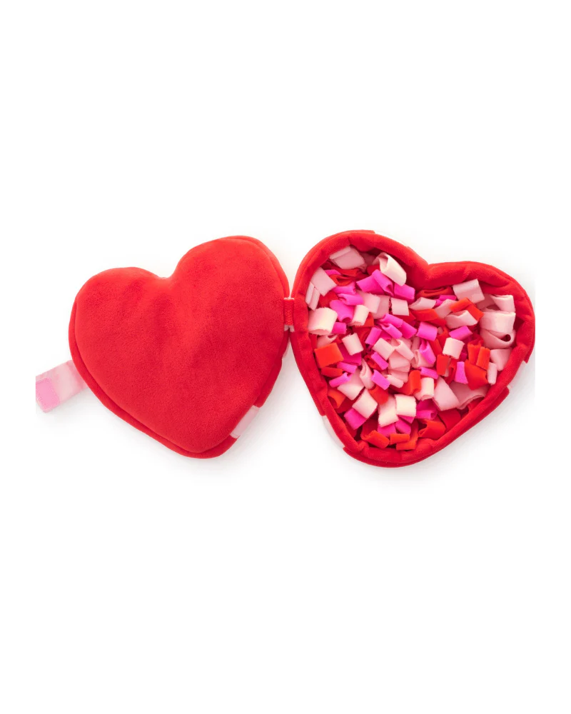 My Sweetest Heart Snuffle Dog Toy - Image 8