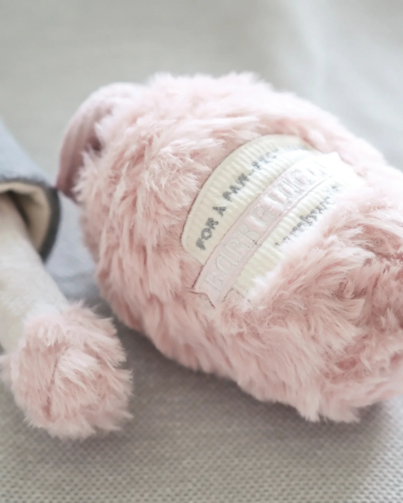 Nail Polish Burrow + Crinkle Dog Toy - Image 4
