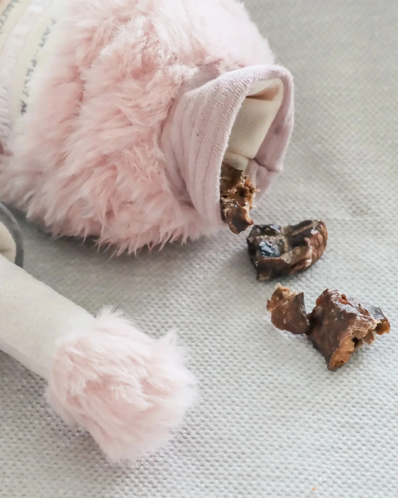 Nail Polish Burrow + Crinkle Dog Toy - Image 5