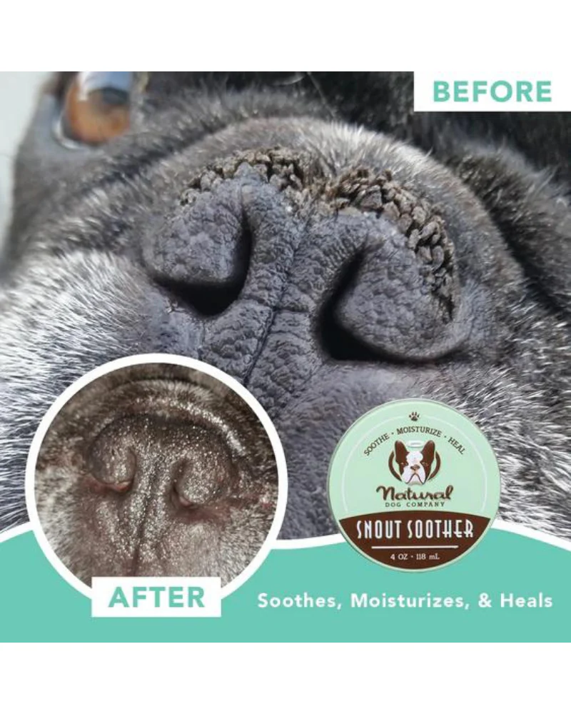 Snout Soother Stick - Image 4