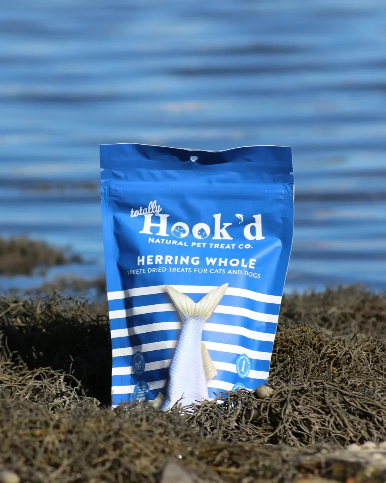 Freeze-Dried Herring Whole Treats for Dogs & Cats (Made in the USA) - Image 2