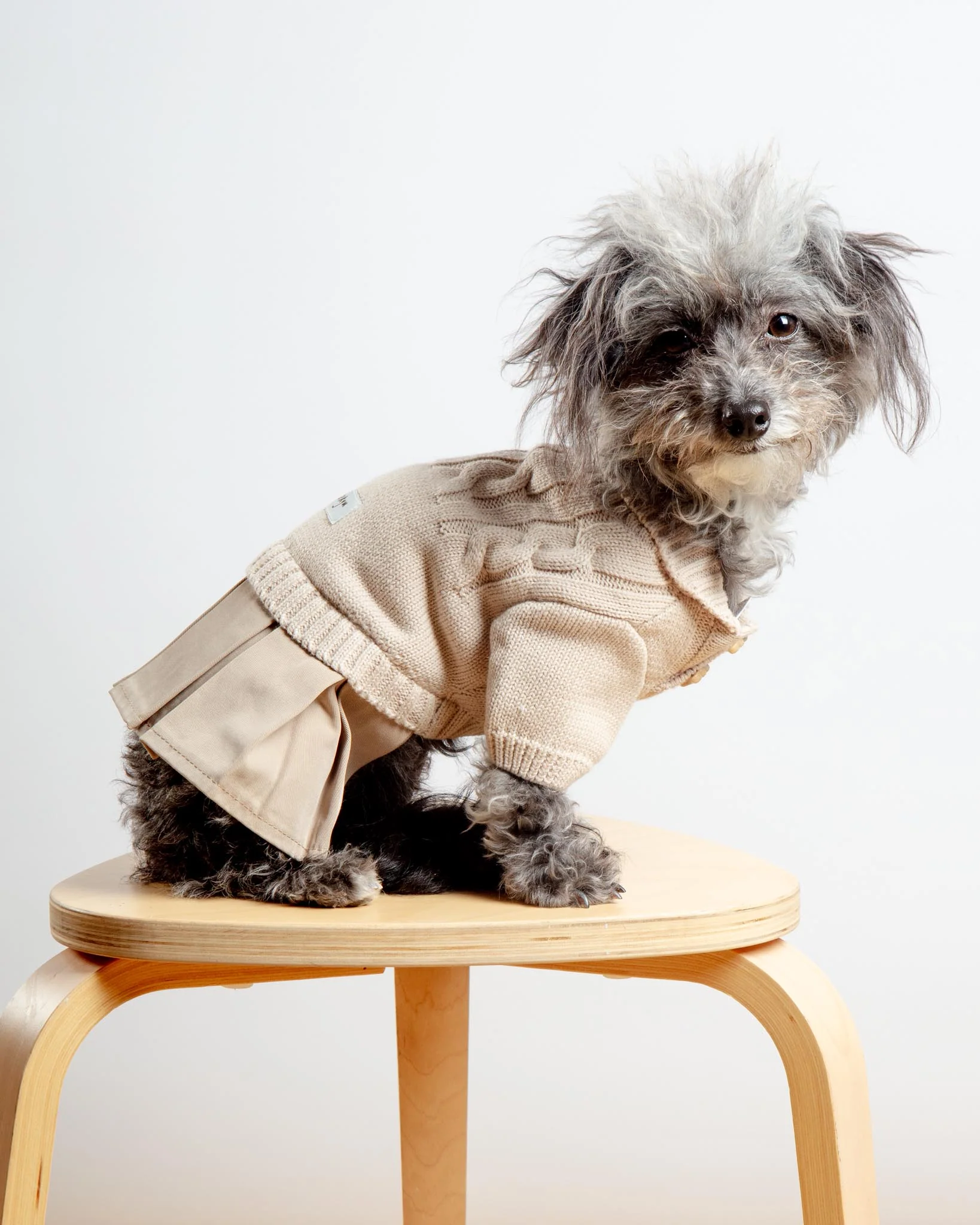 Naturalia Knit + Trench Dog Dress