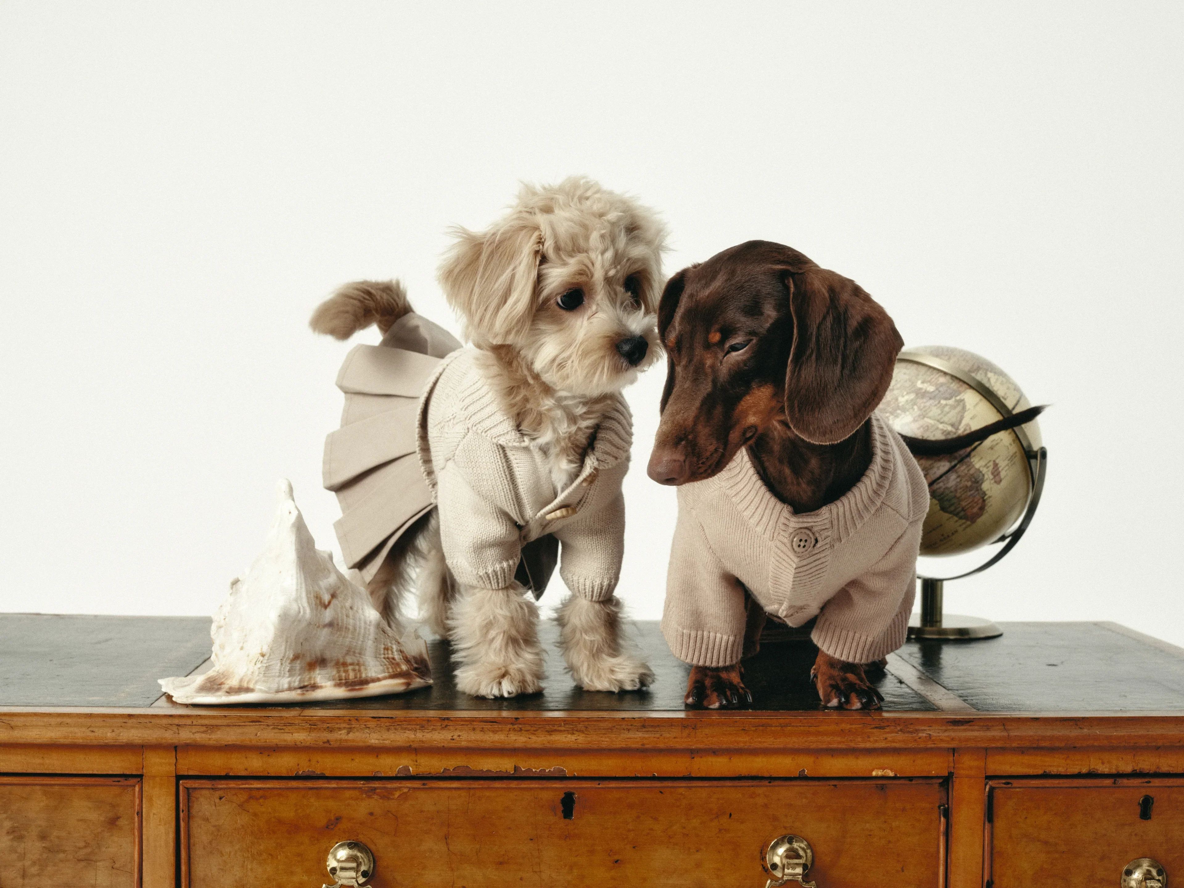 Naturalia Knit + Trench Dog Dress - Image 8